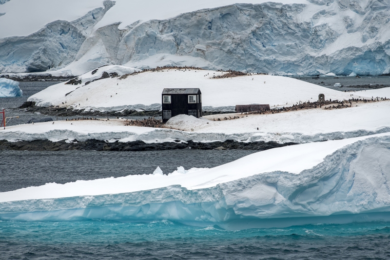 3_4151T-Antarktis-Paradies-Bay-Chilenische-Forschungstation-mit-Pinguinen