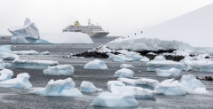 3789T-Antarktische-Halbinsel-Eselspinguine-mit-Kreuzfahrtschiff-MS-Hamburg