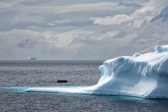 4174T-Antarktis-Schlauchboot-neben-Eisberg