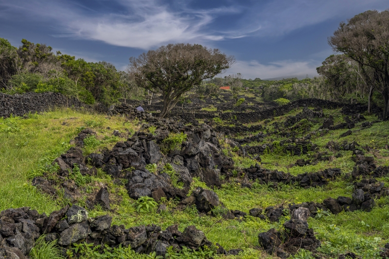 3772TZ-Azoren-Insel-Faial-Ruinen-von-Wohnhäusern-nach-Vulkanausbruch