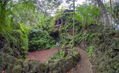 2228SC-Azoren-Sao-Miguel-Botanischer-Garten-Jardim-Antonio-Borges