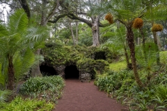 3628TZ-Azoren-Sao-Miguel-Botanischer-Garten-Jardim-Antonio-Borges