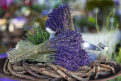 Lavendel Markplatz Bückeburg