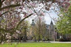 Schloss Bückeburg im Frühling