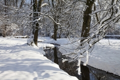 Schlosspark Bückeburg Winter