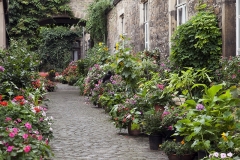 Gasse in Bückeburg