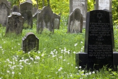 Jüdischer Friedhof in Bückeburg