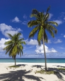 5867Sa-Strand-Karibik-Cuba-mit-Palmen