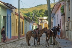 Trinidad Cuba Pferde