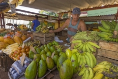 5227Sa-Gemüsemarkt-Havanna-Cuba1