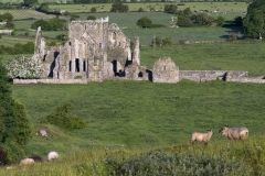 2524P Hore Abbey Cashel Irland 13 Jh Benediktiner Kloster Panorama