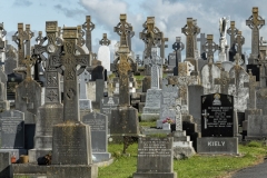 2557P Hochkreuze Friedhof Irland
