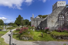 3444Sa Killarney Muckross Friary Franziskanerabtei 15 jh