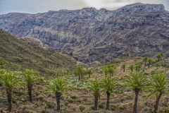 4220TZ-La-Gomera-Landschaft