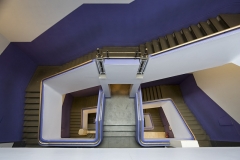 Treppe Natural History Museum London