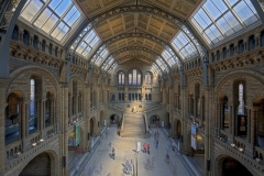 Eingangshalle Natural History Museum London