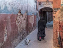 Marrakesch Marokko Medina Frau Katze