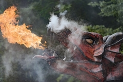 9594P-MPS-Drachenkopf-mit-Freuer-und-Rauch