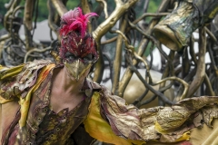 9631P-MPS-Feuervögel