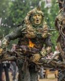 9656P-MPS-Feuervögel-Detail