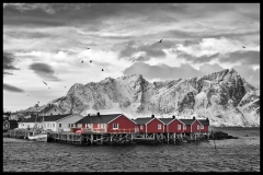 8071G-Lofoten-Nähe-Reine-sw-mit-roten-Hütten