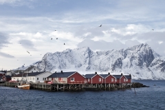 8071G-Lofoten-Nähe-Reine