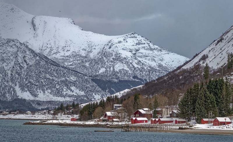 7910R-Norwegen-am-Fjord-Winter