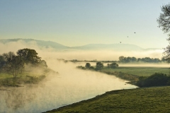1_0462N-Weser-Rinteln-morgendliche-Nebelstimmung