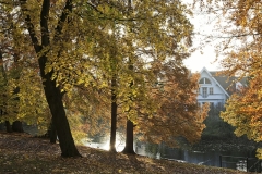 Rinteln am Blumenwall