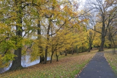 3697SB-Herbst-Rinteln-Blumenwall