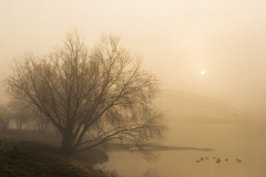 9128M-Nebelstimmung-an-der-Weser-in-Rinteln1