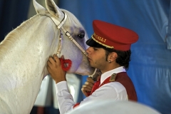 4653B-Pferdeflüsterer-bei-Roncalli