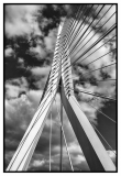 0651S-Rotterdam-Erasmusbrücke-SW