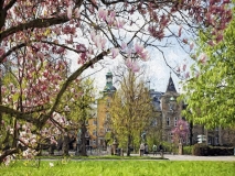 2581F Frühling Schlosspark Bückeburg gemalt Druck 80x60