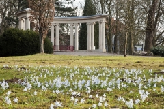 2206F-Kurpark-Bad-Eilsen-im-März-Tuffsteinquelle