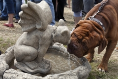 6295i-Remeringhausen-2012