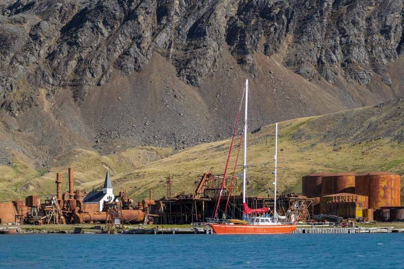 3384T-Segelschiff-vor-Walfangstation-Grytviken-Südgeorgien