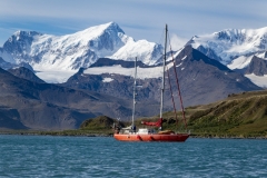 3260T-Segelschiff-in-der-Bucht-vor-Grytviken-Südgeorgien