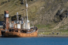 3292T-Grytviken-Südgeorgien-verrostetes-Schiff-vor-Walfangstation-mit-Seebären