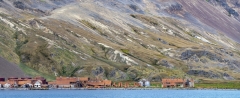 4917TZ-18TZ-Gebirgslandschaft-Südgeorgien-mit-Walfangstation-Stromness-Bay-Panorama