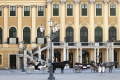 5246D-Fiaker-vor-Schloss-Schönbrunn-Wien