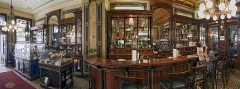 6773F-6778F-Cafe-Demel-Wien-Panorama